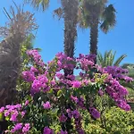 Mypalmassuite With Free Parking In Apartament *
